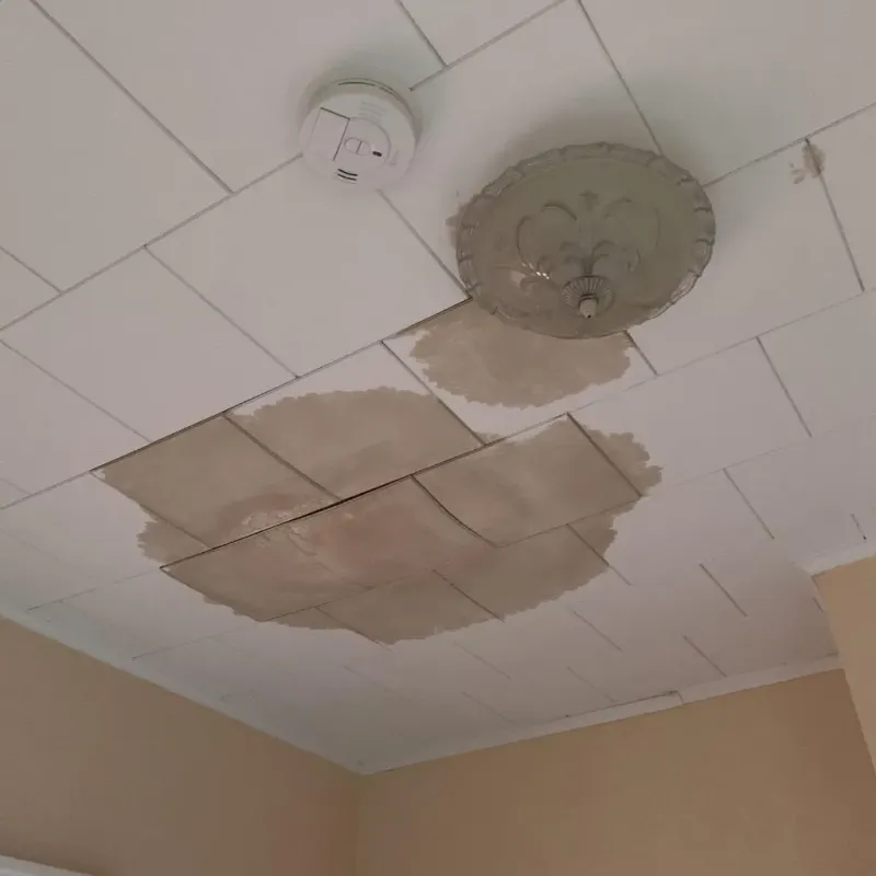 Ceiling Water Damage Repair in Redlands, CA
